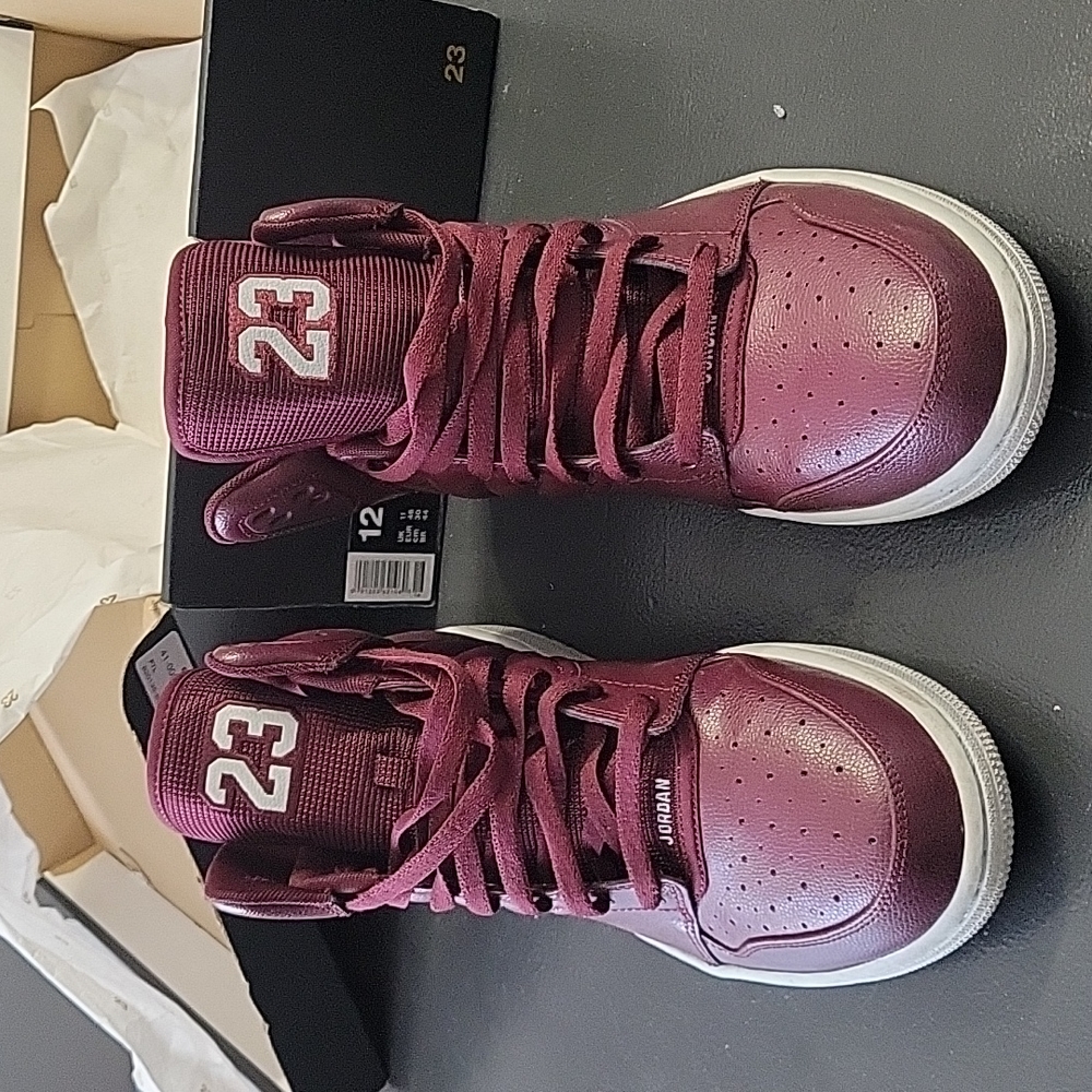 Jordan 1 flight